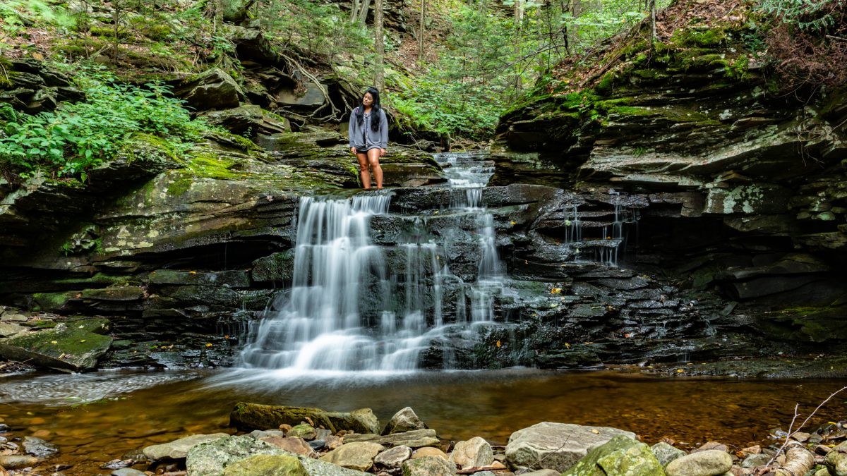 The Hidden Waterfalls Of Miners Run In The Loyalsock State Forest 