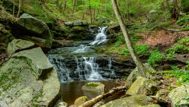 The Hidden Waterfalls of Miners Run in the Loyalsock State Forest ...