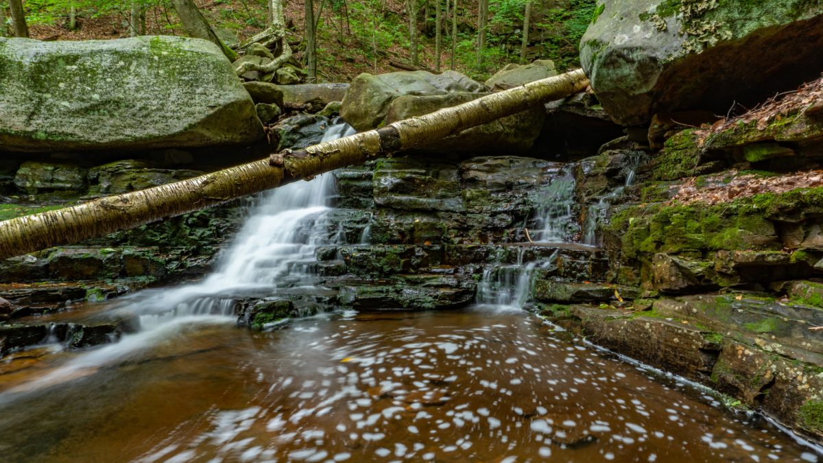 The Hidden Waterfalls of Miners Run in the Loyalsock State Forest ...