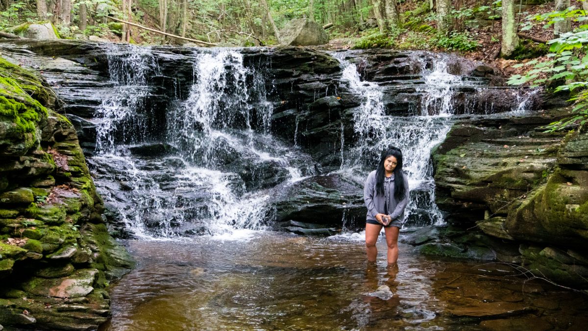 The Hidden Waterfalls of Miners Run in the Loyalsock State Forest ...