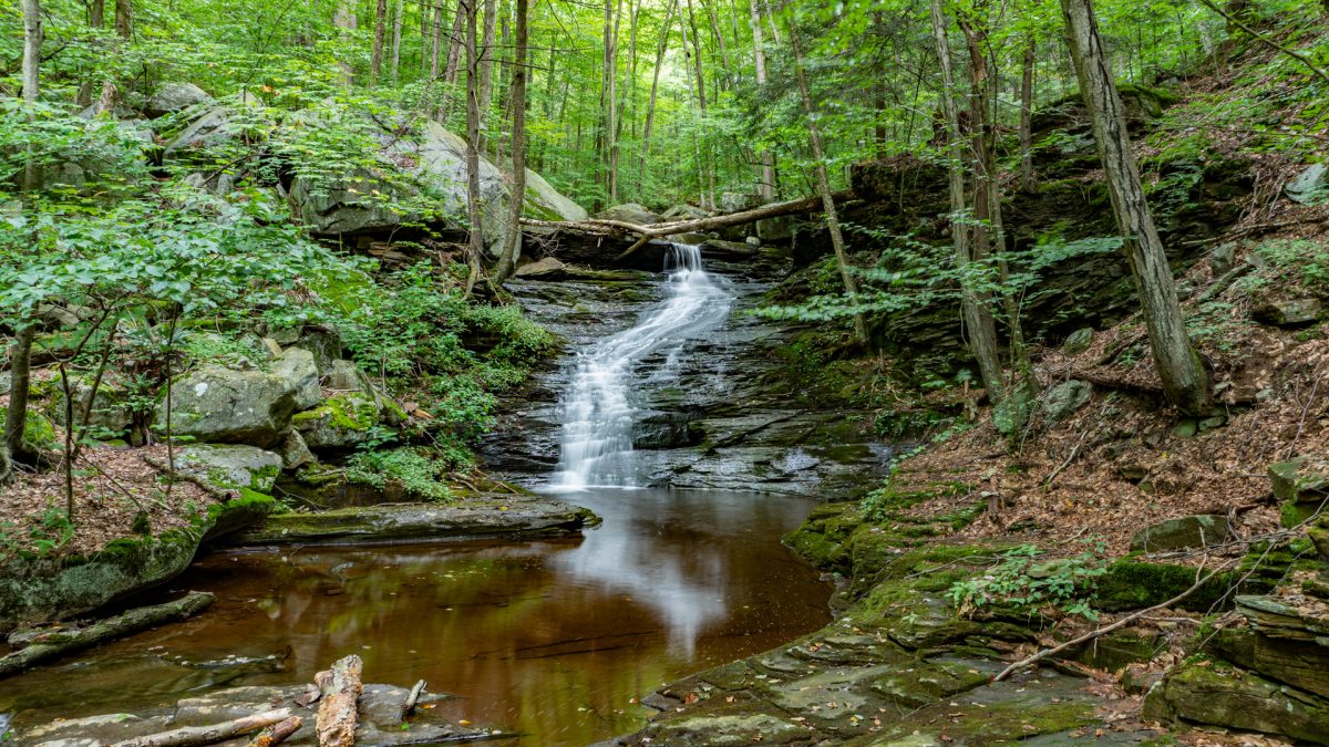 The Hidden Waterfalls of Miners Run in the Loyalsock State Forest ...