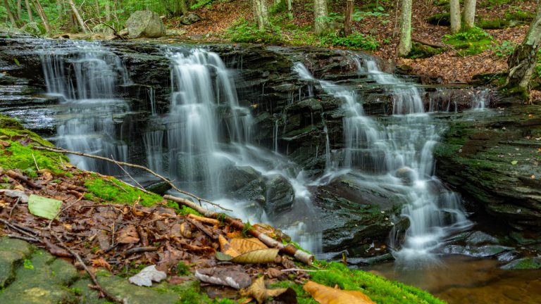 The Hidden Waterfalls of Miners Run in the Loyalsock State Forest ...