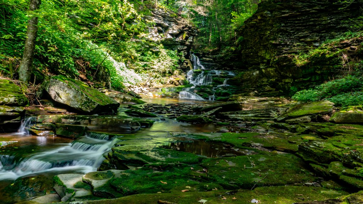 The Best Waterfall Hike in Pennsylvania - Waterfall Wonderland - Hand ...