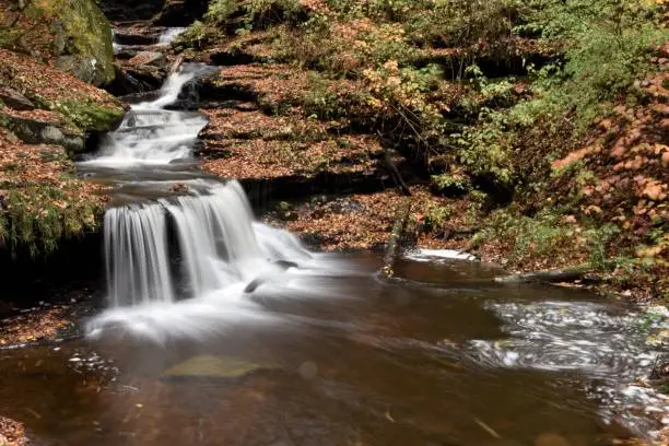 Ricketts Glen
