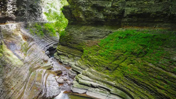 Watkins Glen
