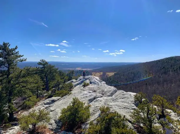 Wolf Rocks and Beam Rocks