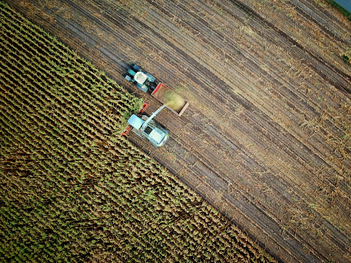 Cultipacker vs Roller Packer