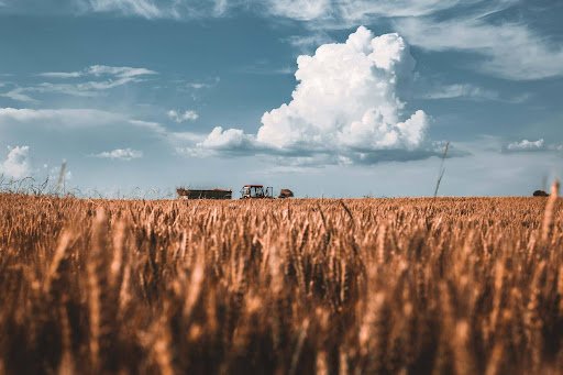 Why Preventive Maintenance Matters Before Harvest Season